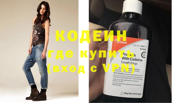 индика Арсеньев