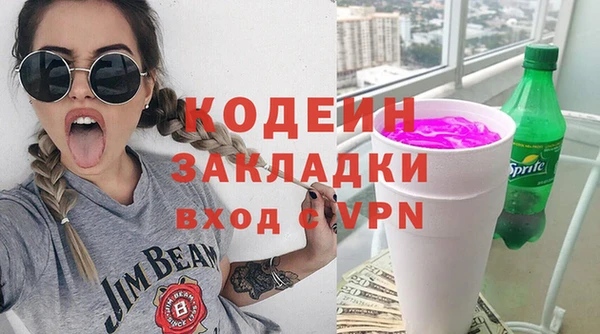 индика Арсеньев