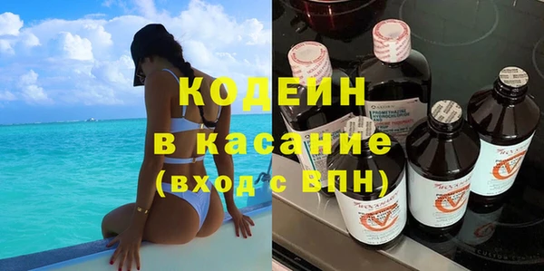 индика Арсеньев