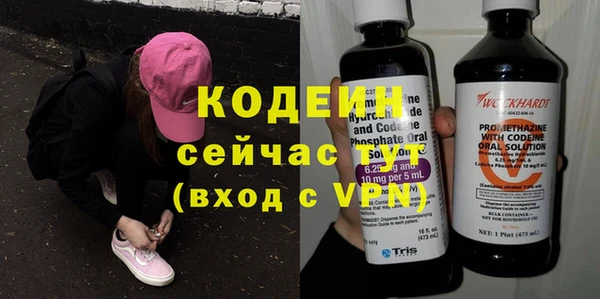 индика Арсеньев