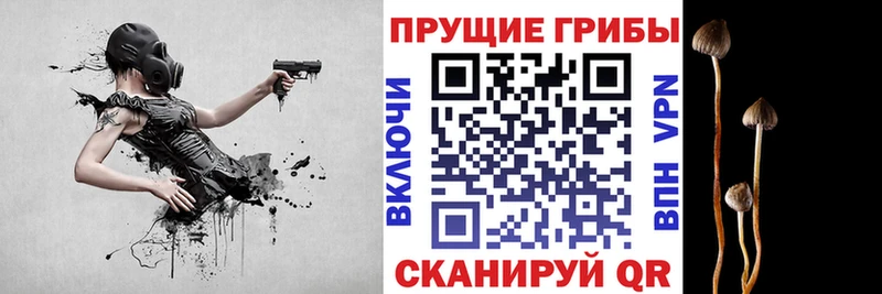 ссылка на мегу зеркало Белокуриха Галлюциногенные грибы Cubensis